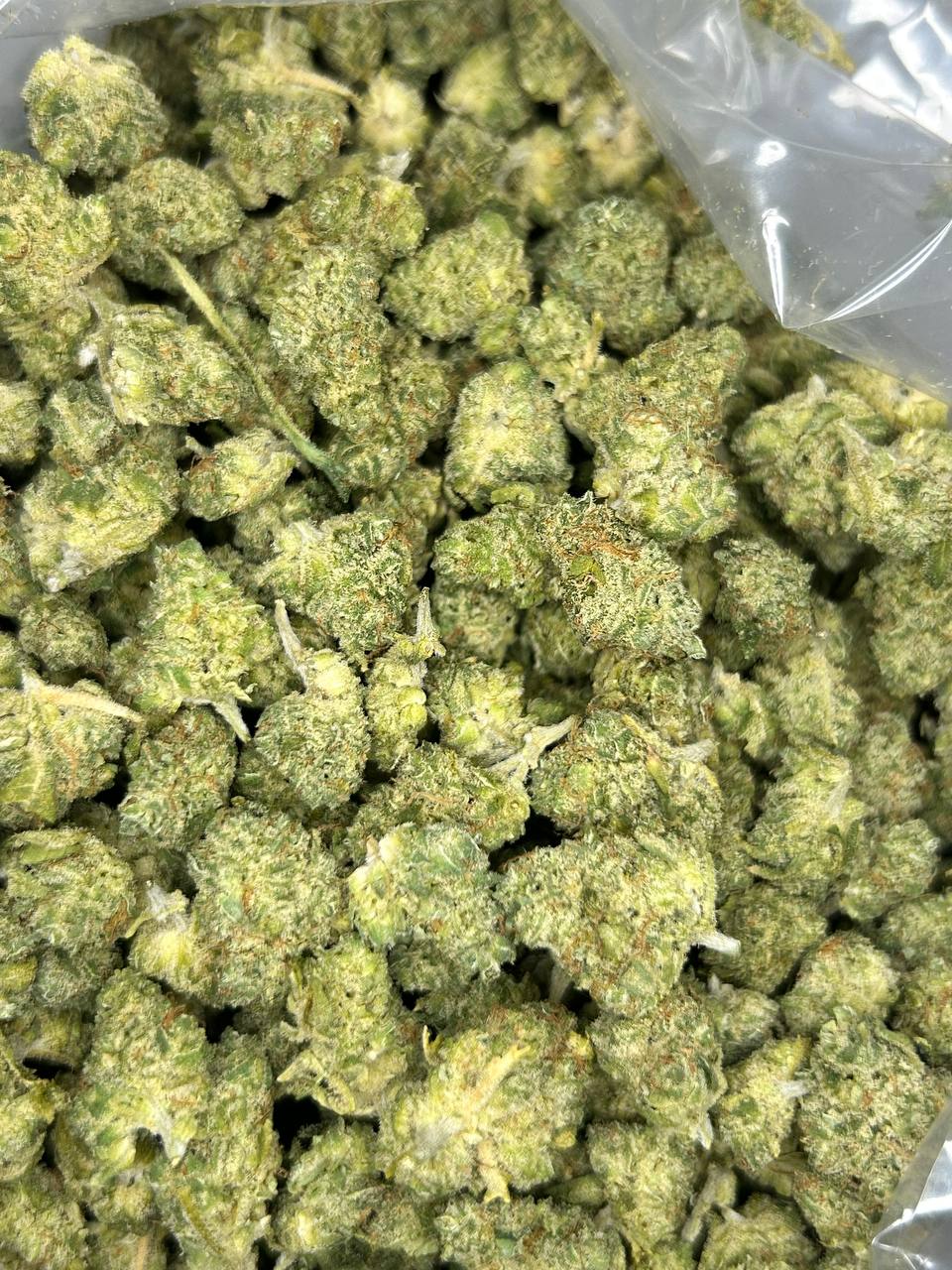 Gusher Mintz Small Nugs (Indica Dominant Hybrid)