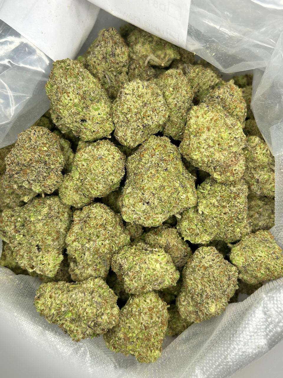 Jealousy Shake (Hybrid)