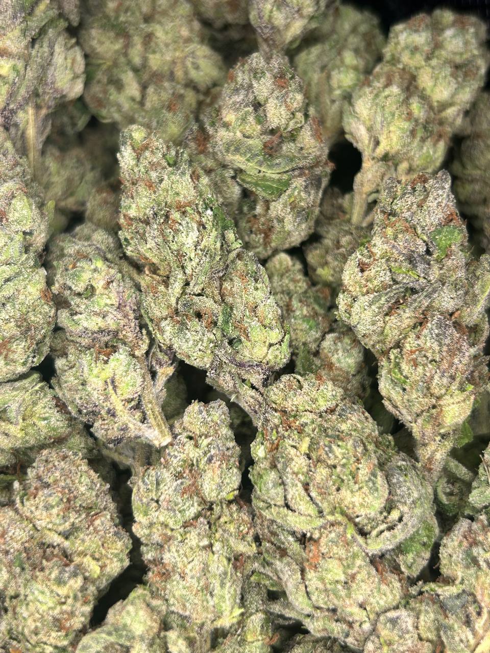 Super Buff Cherries (Hybrid)