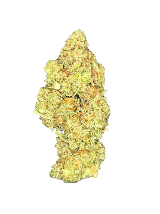 Mimosa (Sativa Dom)
