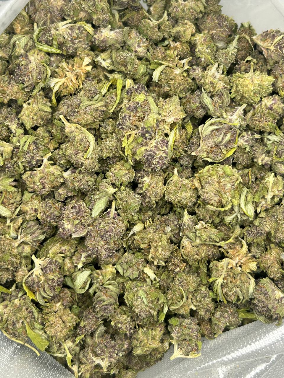 Trop Cherry - Smalls - (Sativa Dominant Hybrid)