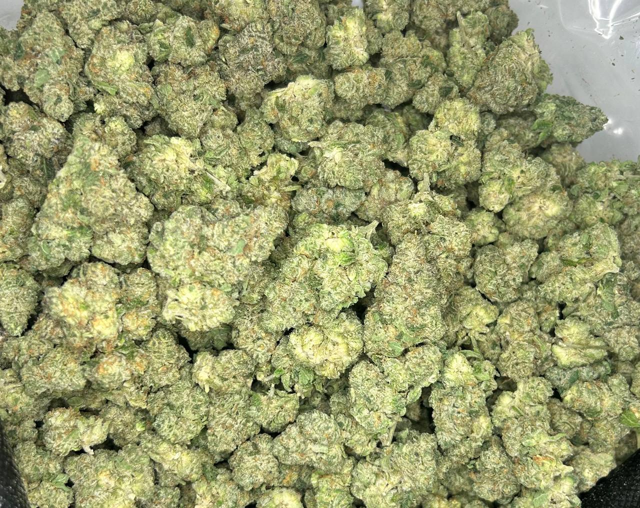 Guava Cookies (Sativa Dom Hybrid)