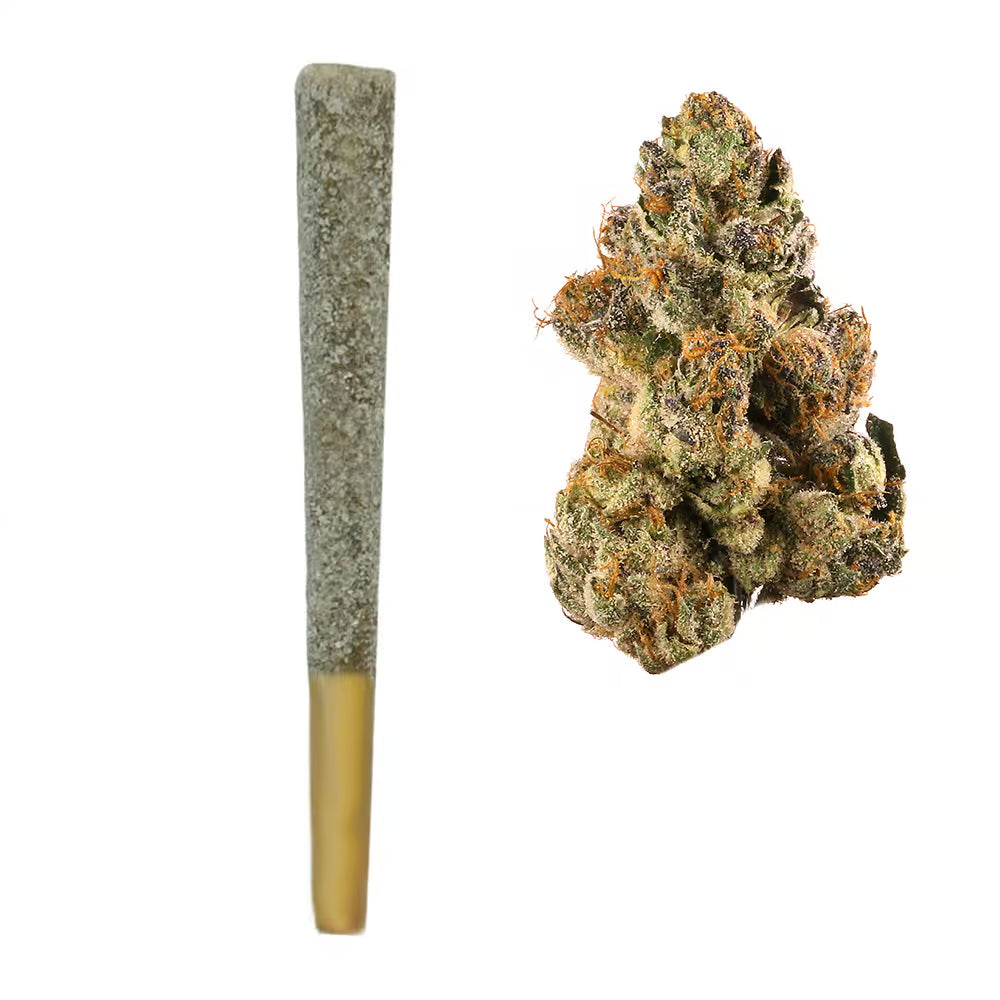 Gelato Infused Pre Rolls (Hybrid)