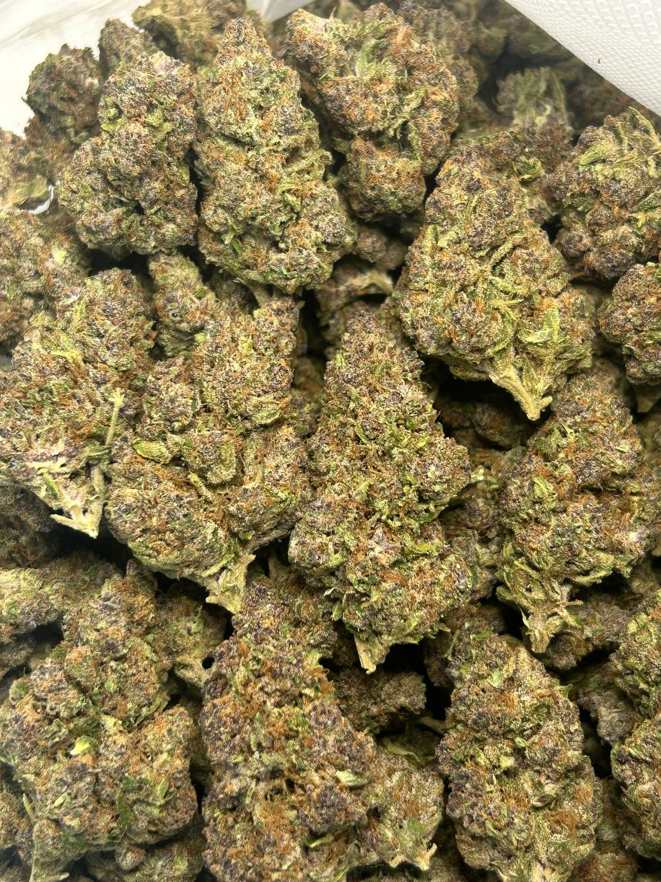 Modified Grapes (Indica Dom. Hybrid)