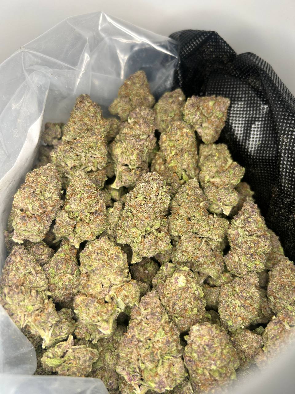 Trop Cherry (Sativa Dominant Hybrid)