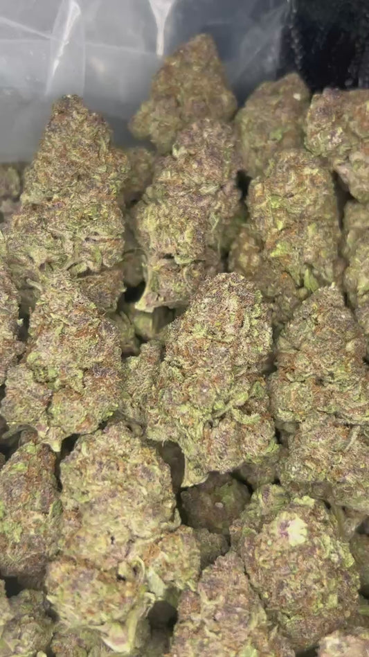 Trop Cherry (Sativa Dominant Hybrid)