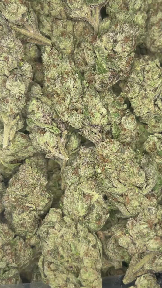 Super Buff Cherries (Hybrid)